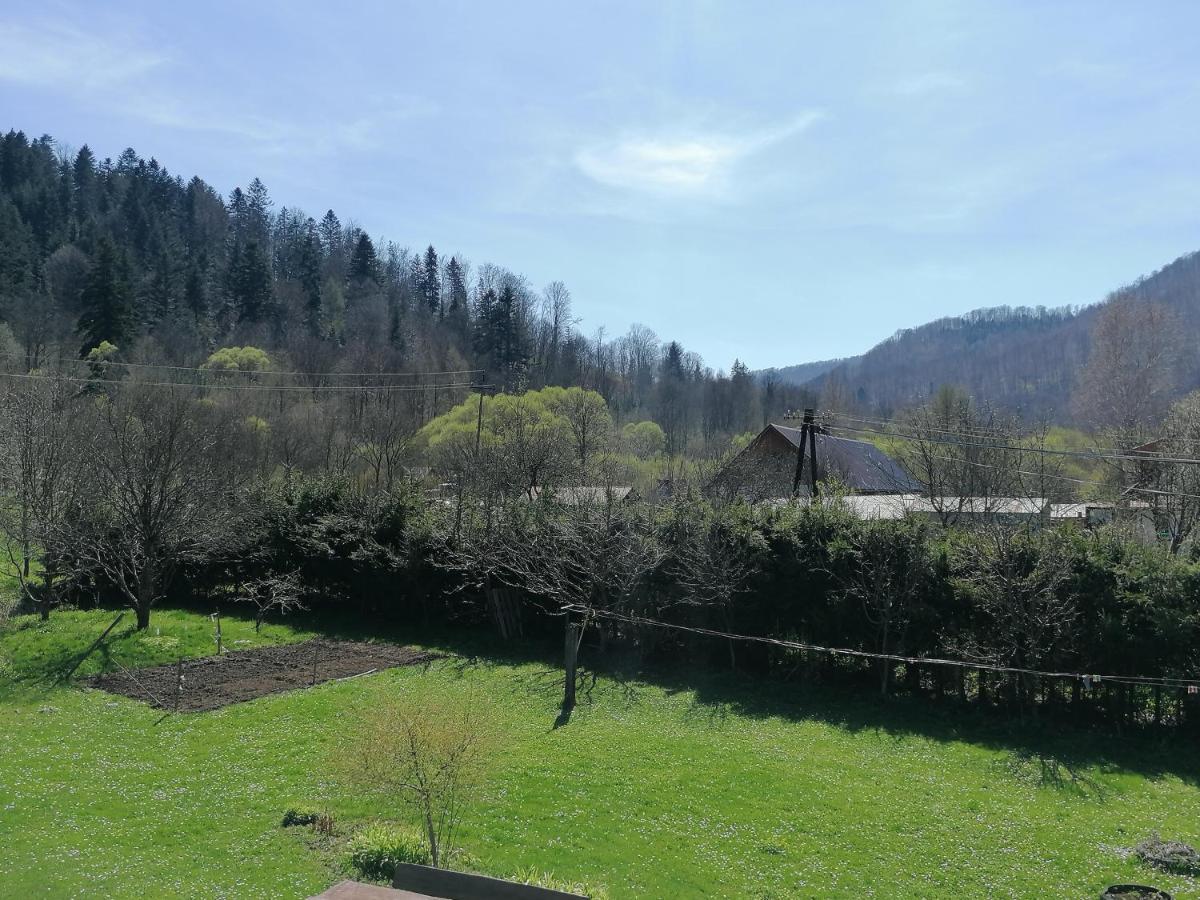 Agroturystyka Pod Kasztanem Lutowiska Kültér fotó